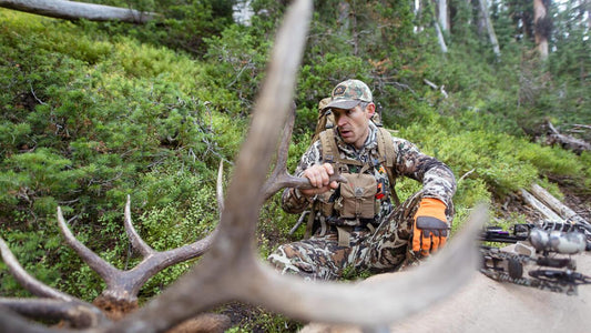 Lost Basin: An Archery Elk Story