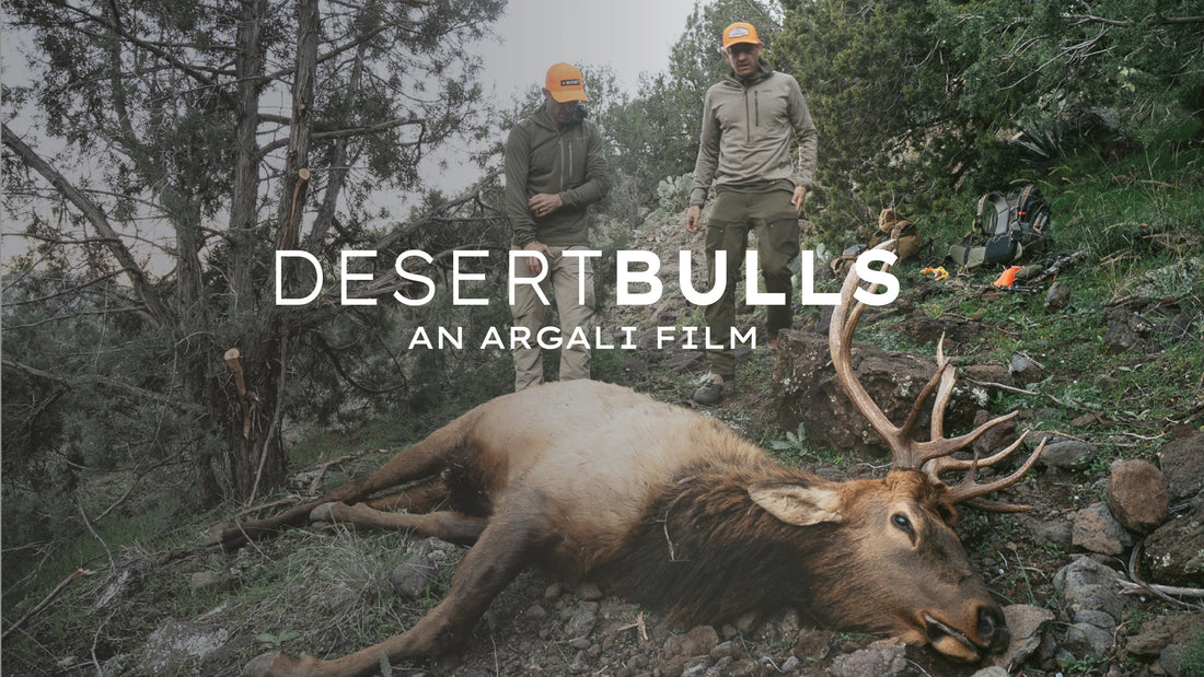 Desert Bulls