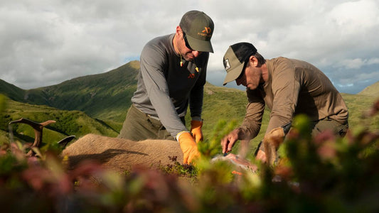 Meat Care in the Early Season 101