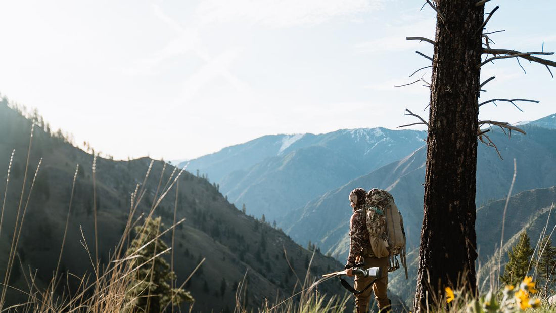 Spring Bear - Why You Need to Consider Spot and Stalk Hunting