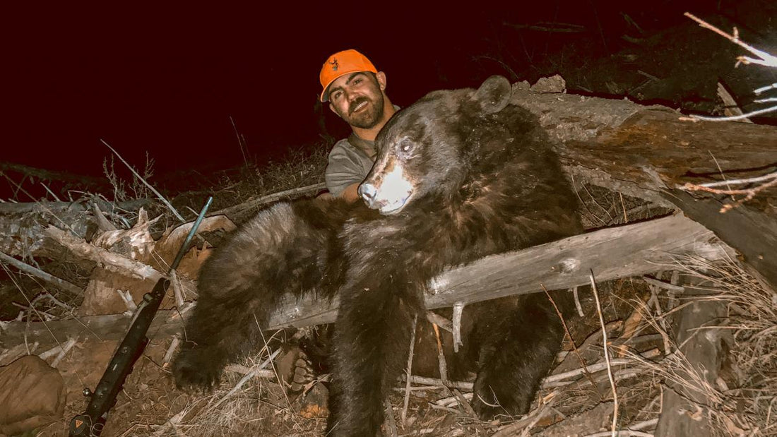 Black Bears on a Time Budget