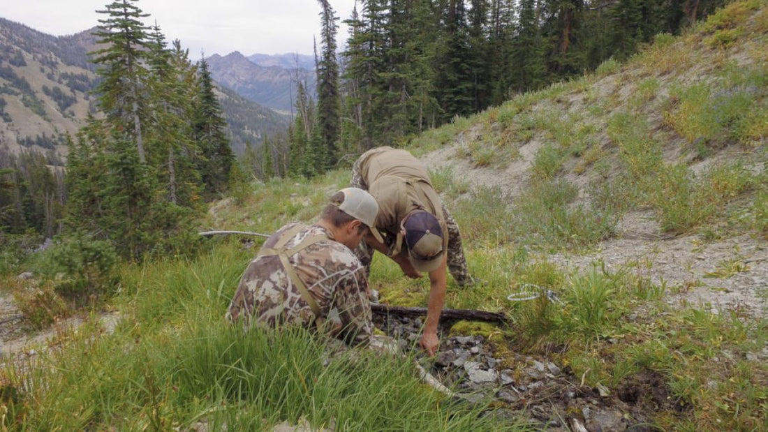 Backcountry Water Purification