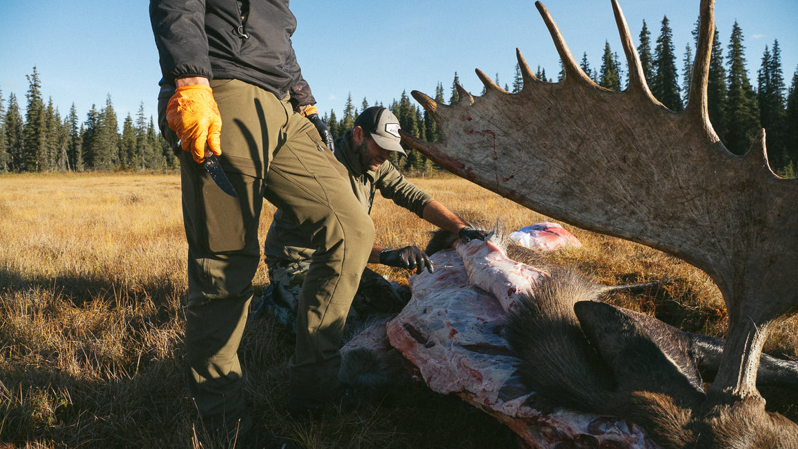 Moose Hunting