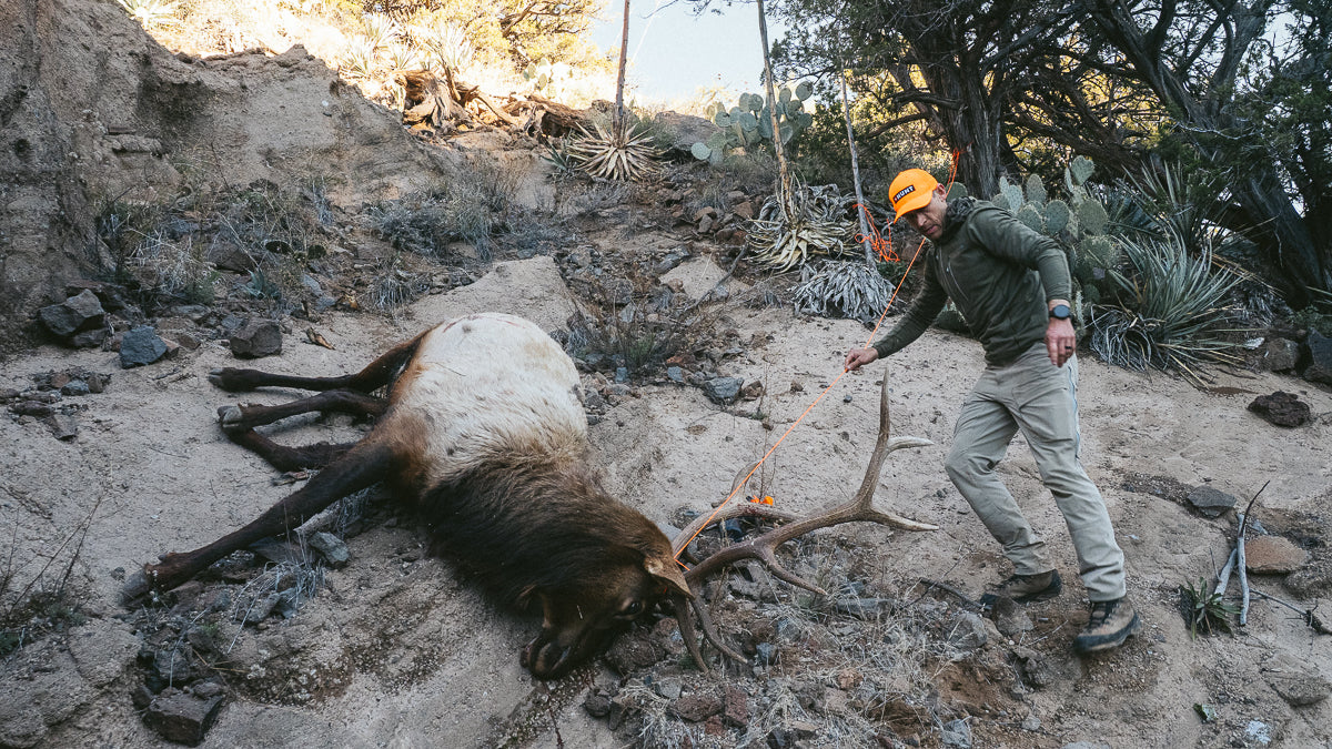 Argali Clothing Project