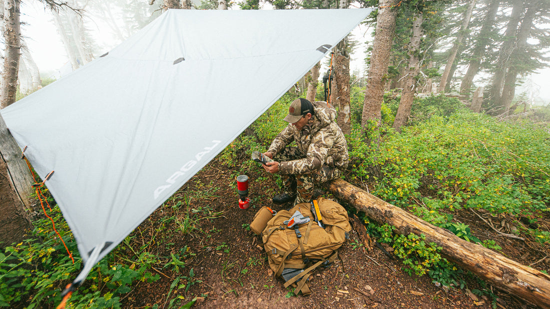 Talus Tarp
